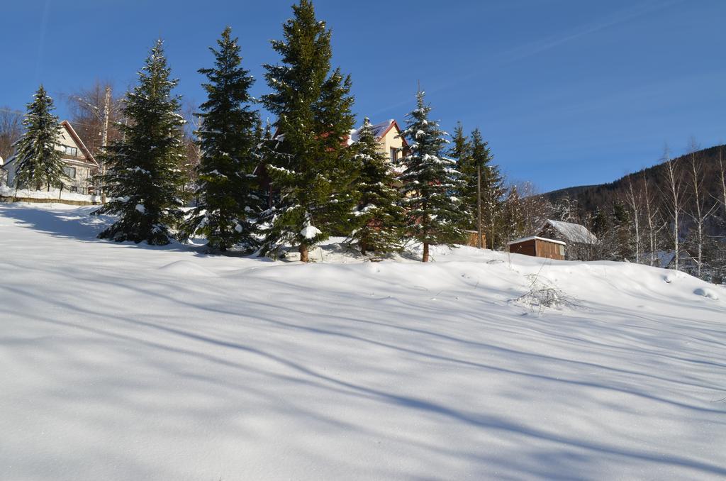 Dom Na Mosornym Groniu Villa Zawoja Kültér fotó